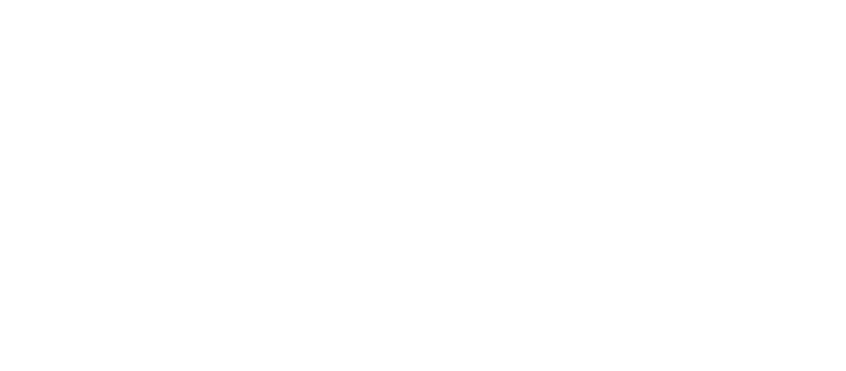 Logo Iwaki Sanwa